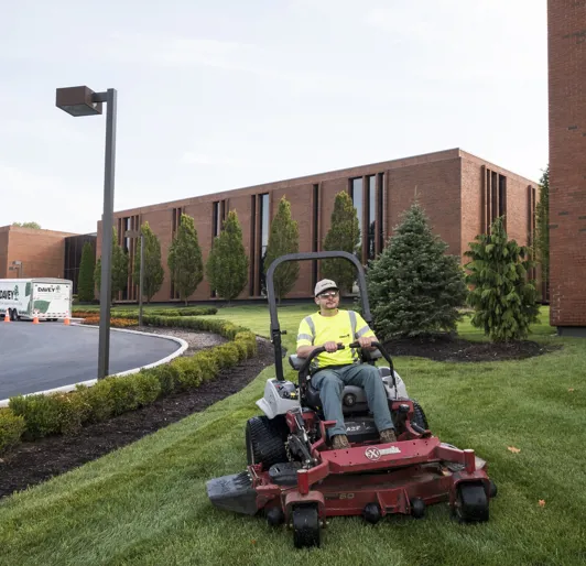 Lawn Mowing: Crafting The Best Canvas