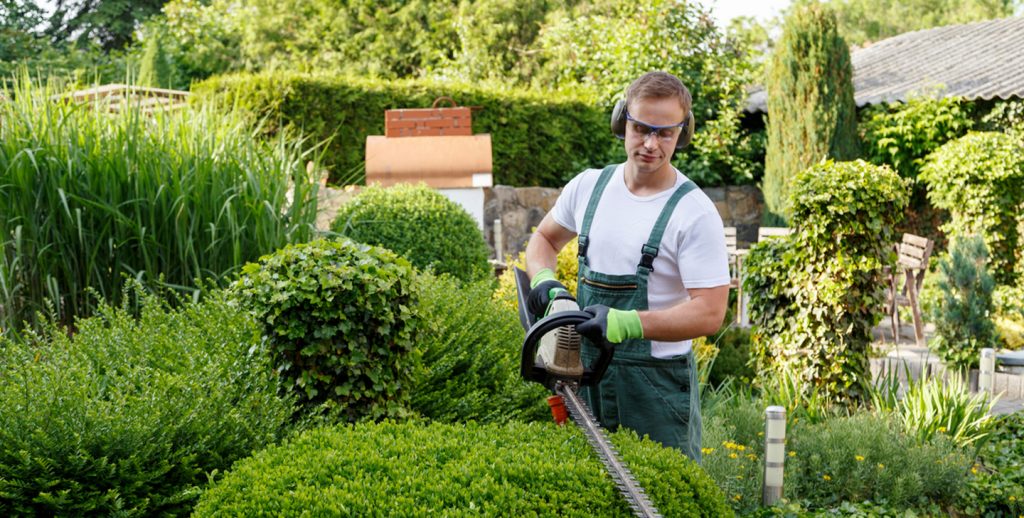 commercial landscaping maintenance